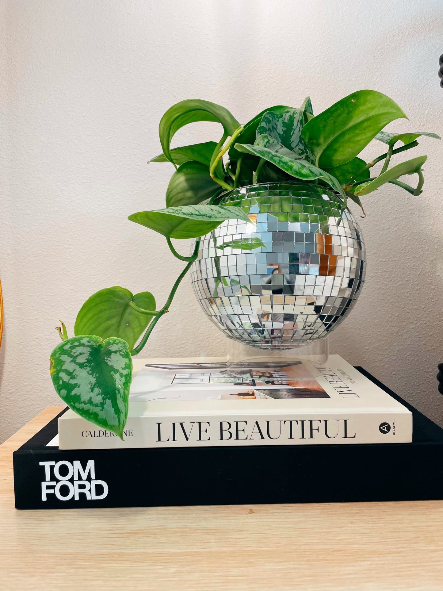 8" Disco Planter + Acrylic Base and Hanger
