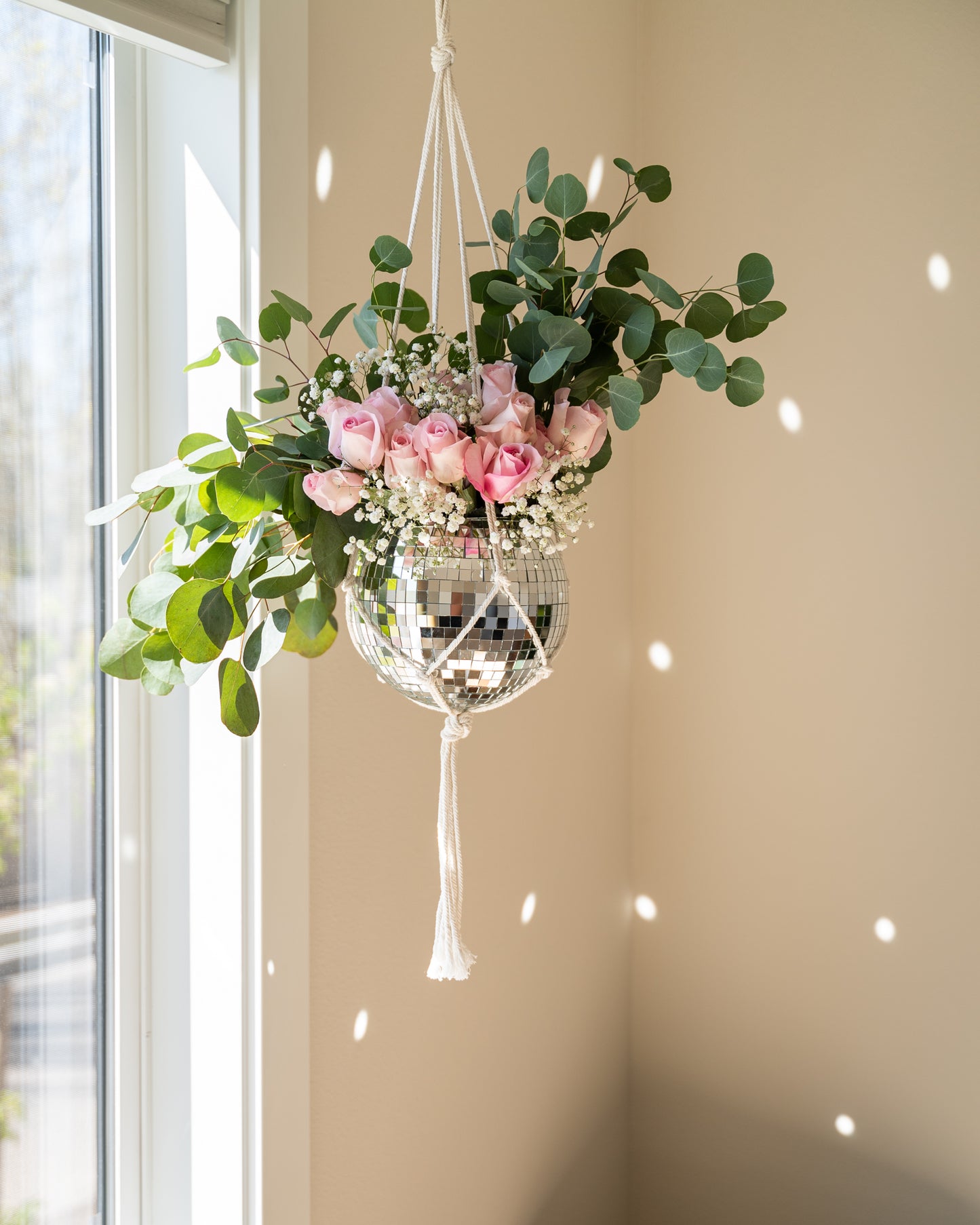 8" Disco Planter + Acrylic Base and Hanger
