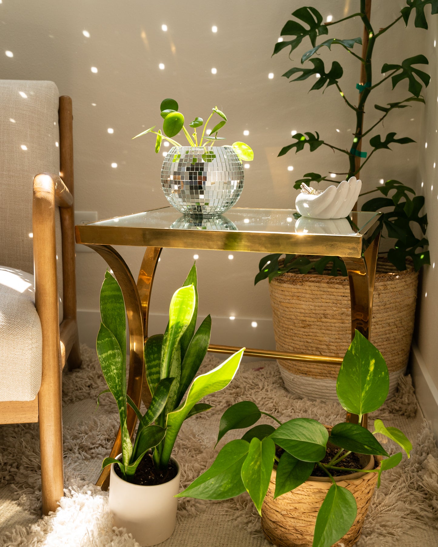 6" Disco Ball Planter - White Hanger