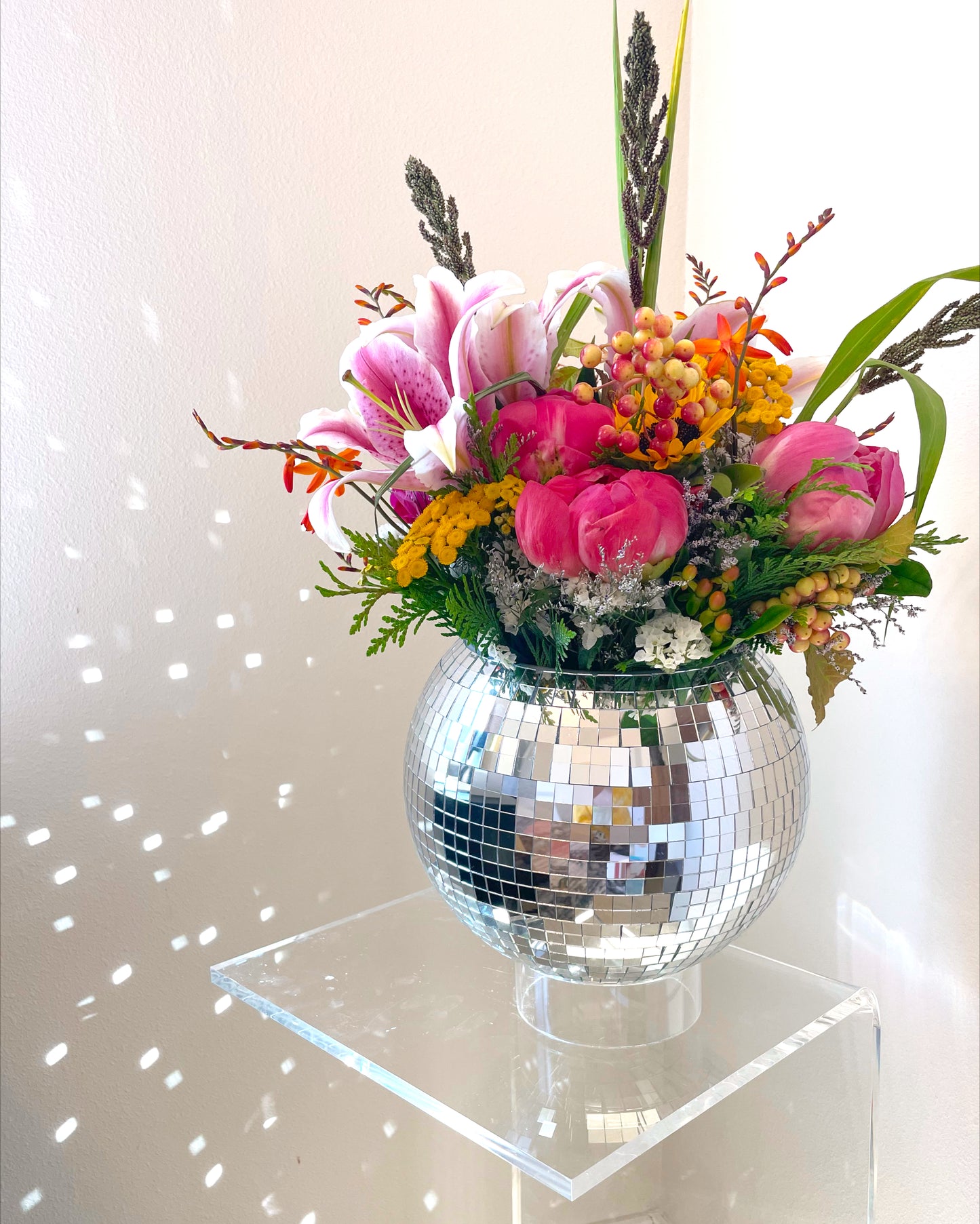10" Disco Ball Planter + Acrylic Base and Hanger