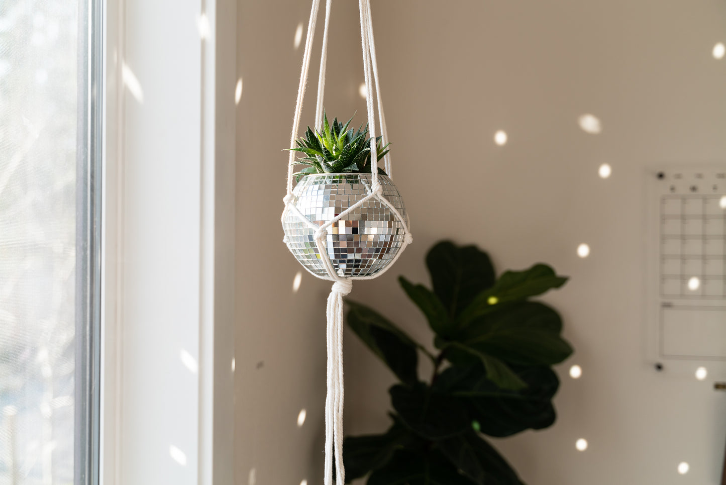 6" Disco Ball Planter - White Hanger