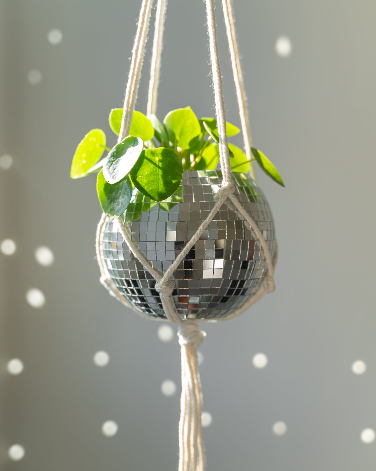 6" Disco Ball Planter - White Hanger