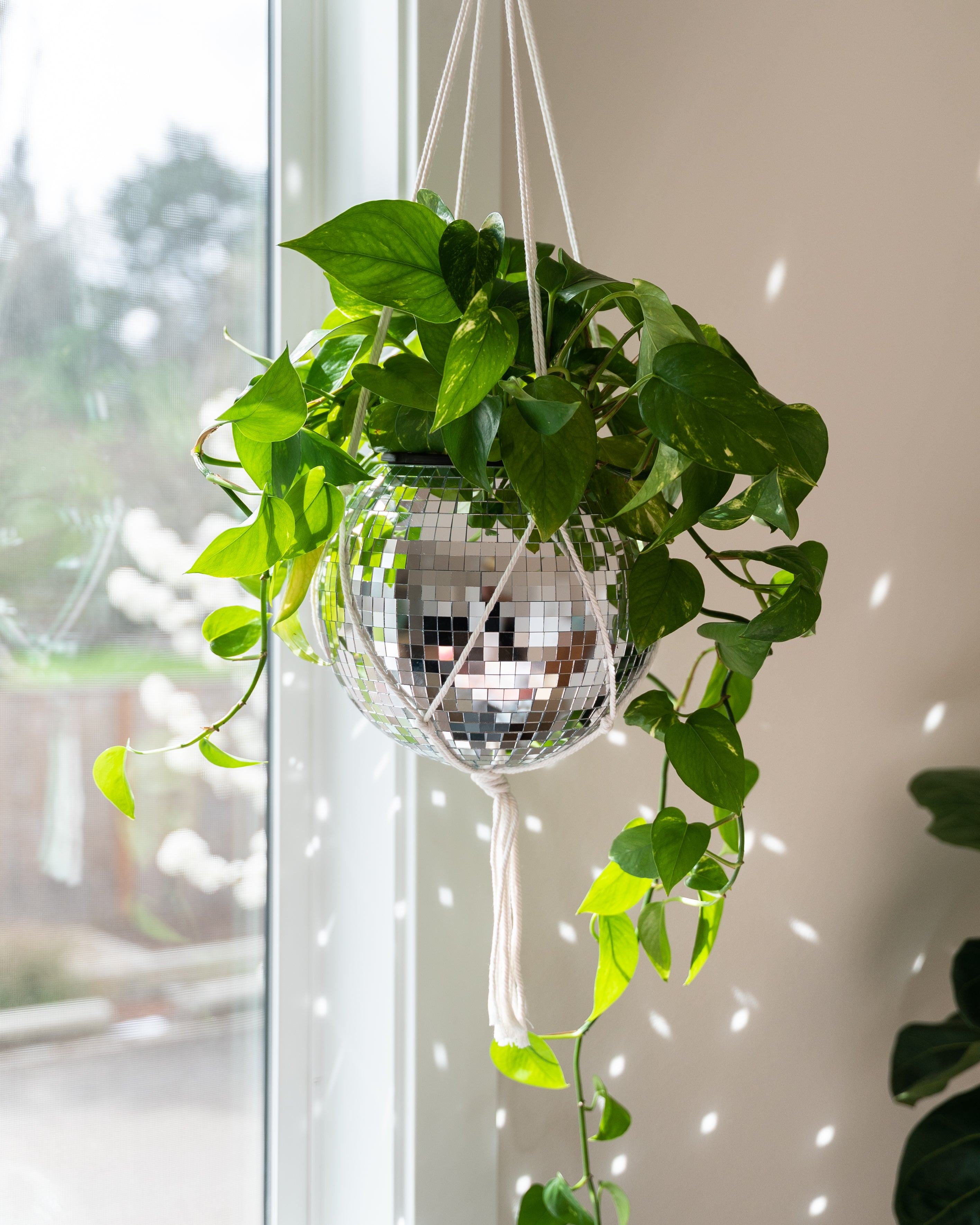 disco plant hanger 10" Disco Ball Planter + Acrylic Base and Hanger