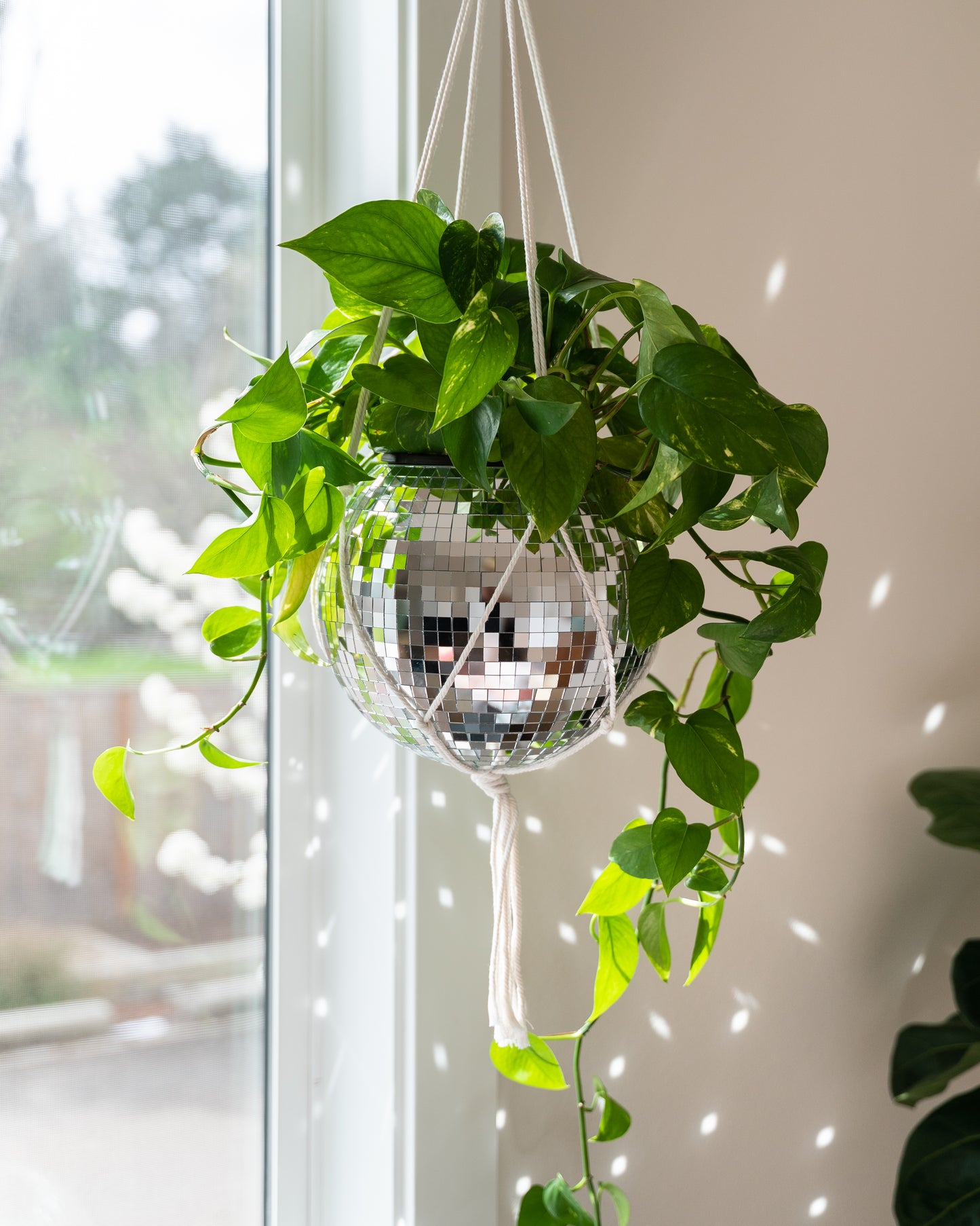 10" Disco Ball Planter + Acrylic Base and Hanger