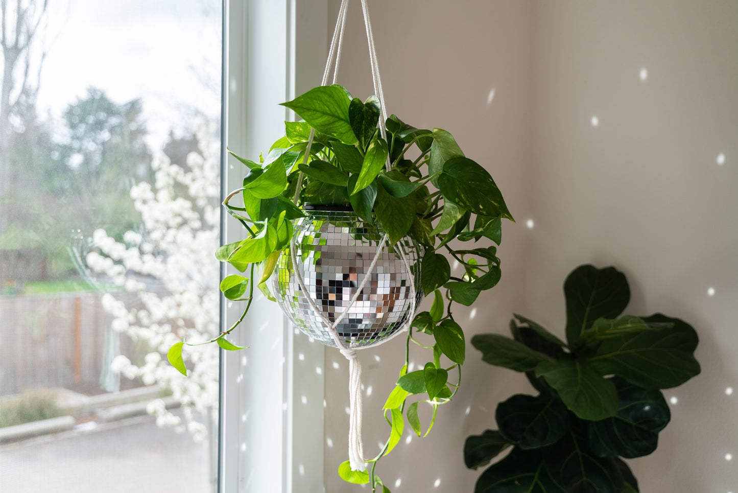 10" Disco Ball Planter + Acrylic Base and Hanger
