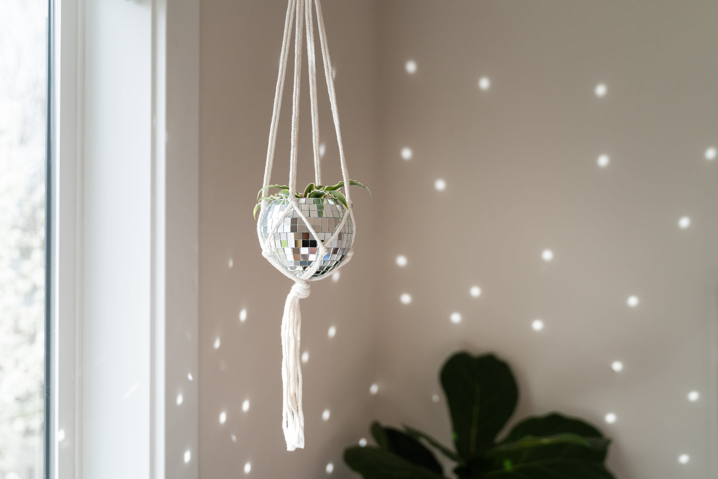 4" Mini Hanging Disco Planter
