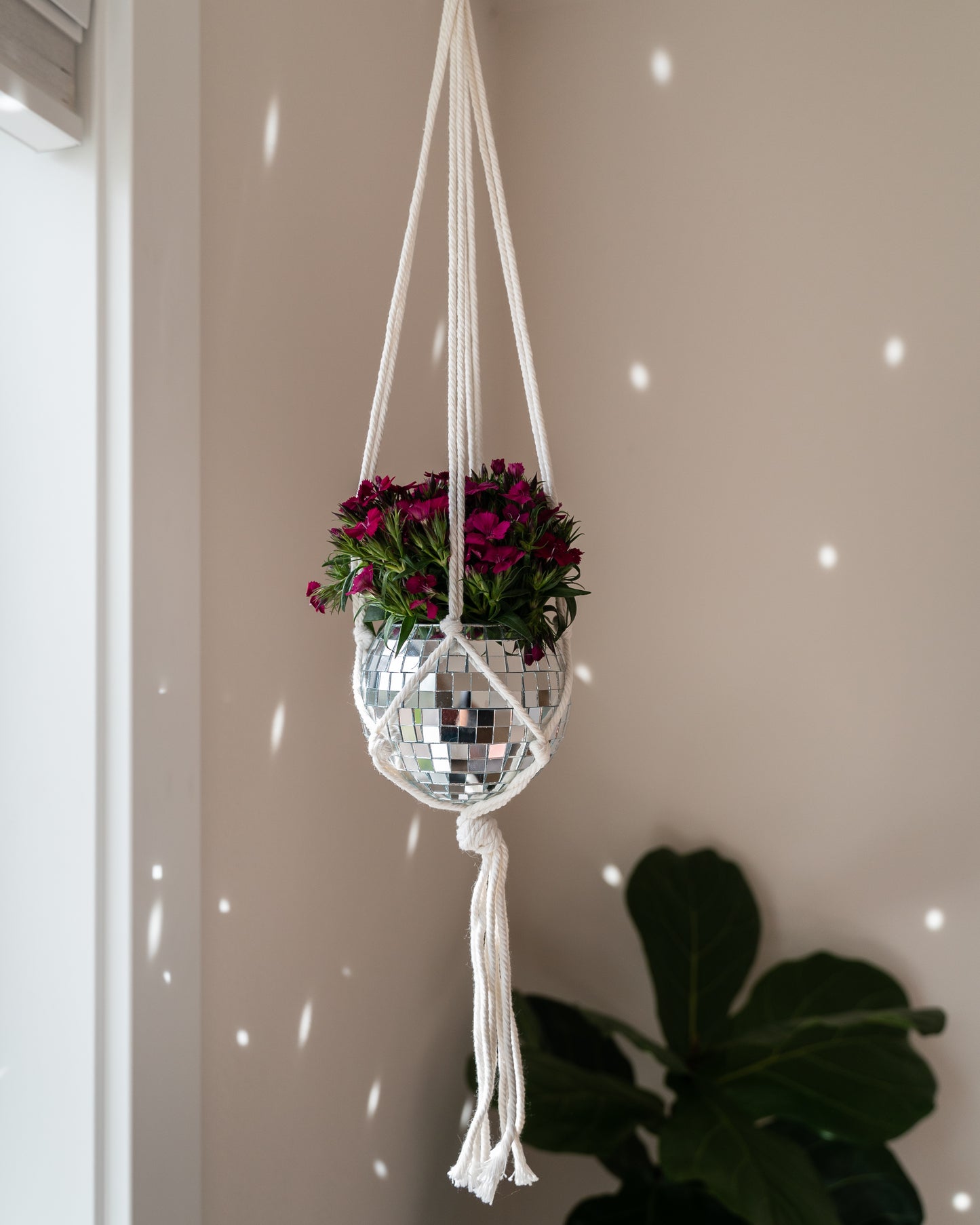 4" Mini Hanging Disco Planter