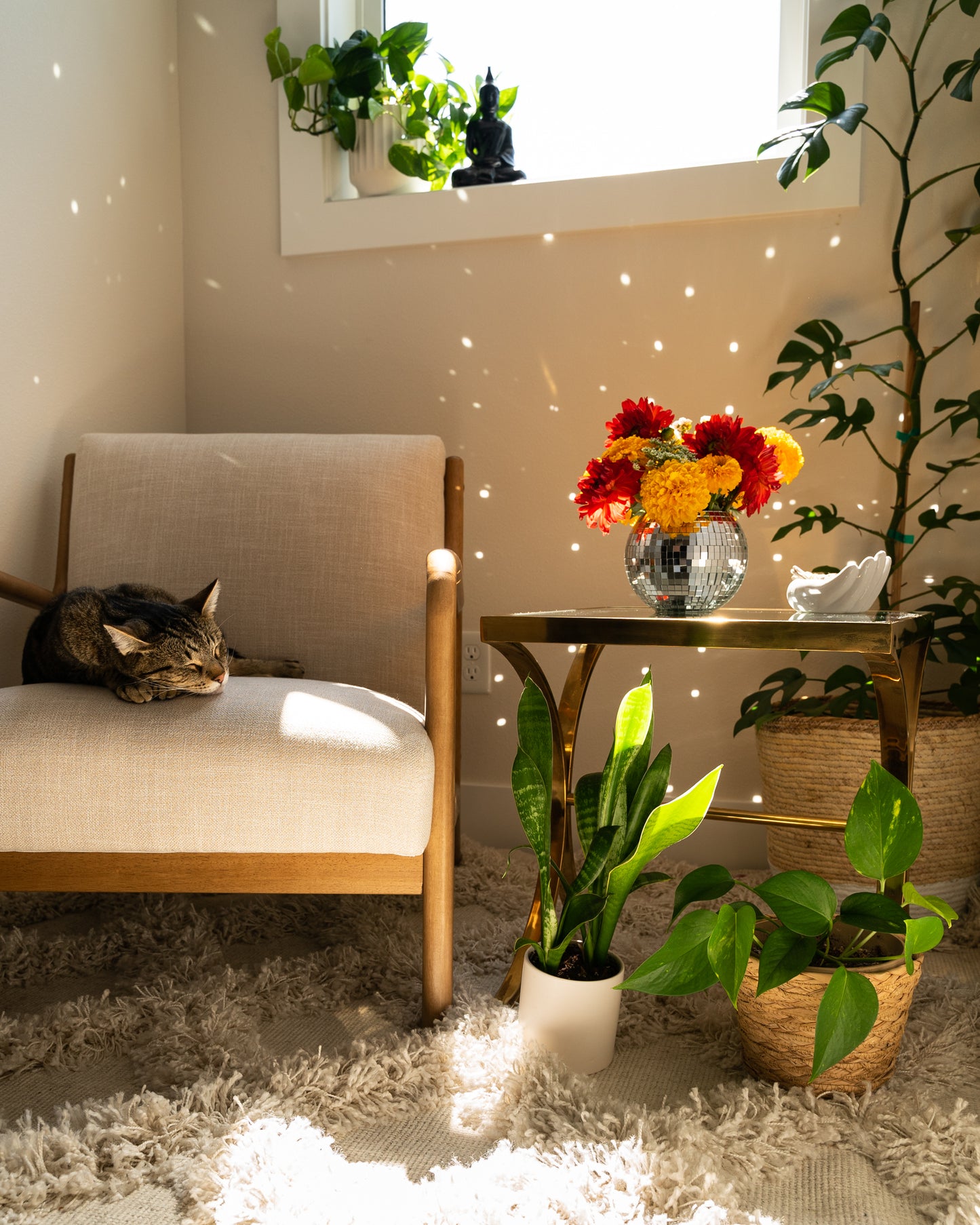 6" Disco Ball Planter - White Hanger