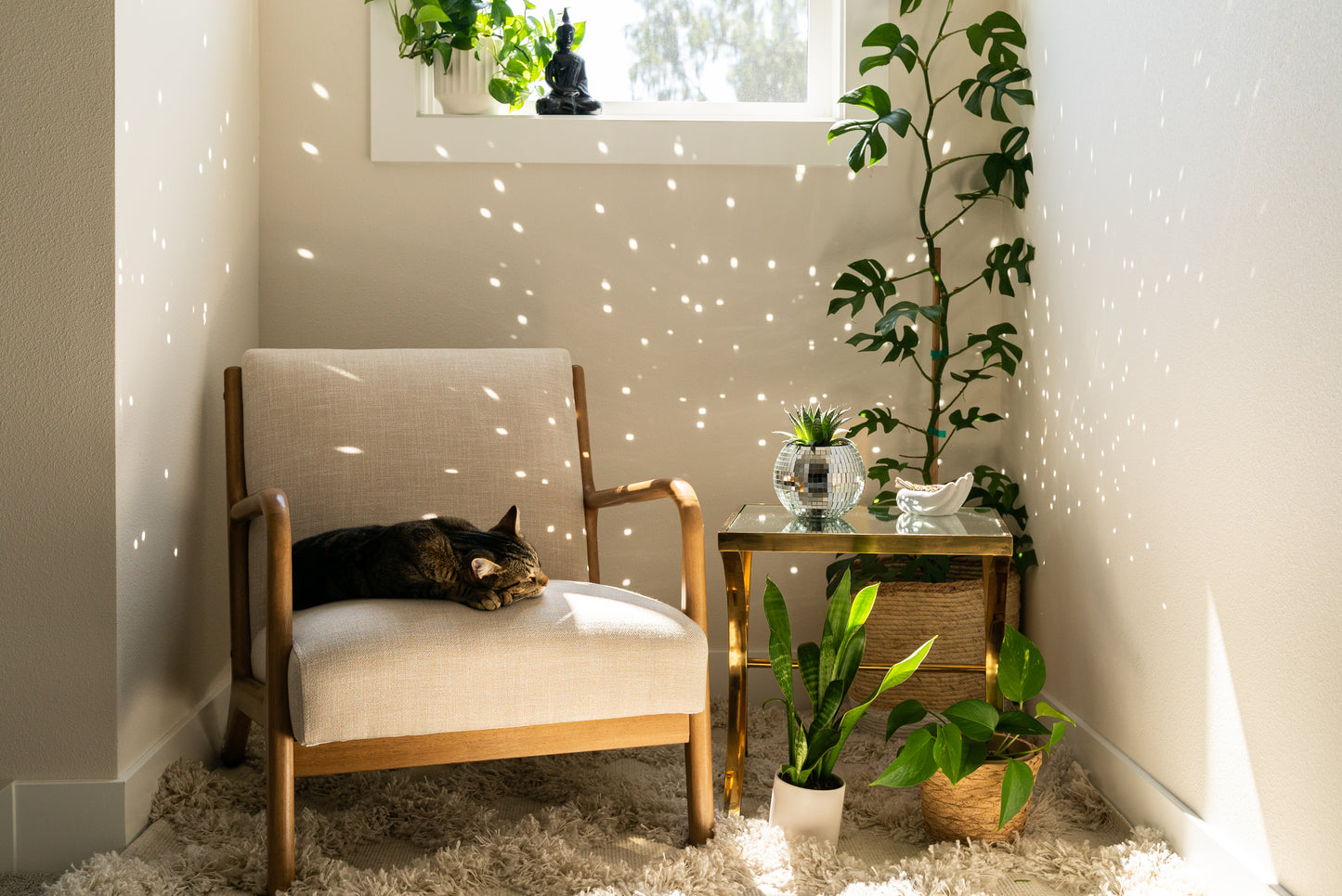 6" Disco Ball Planter - White Hanger
