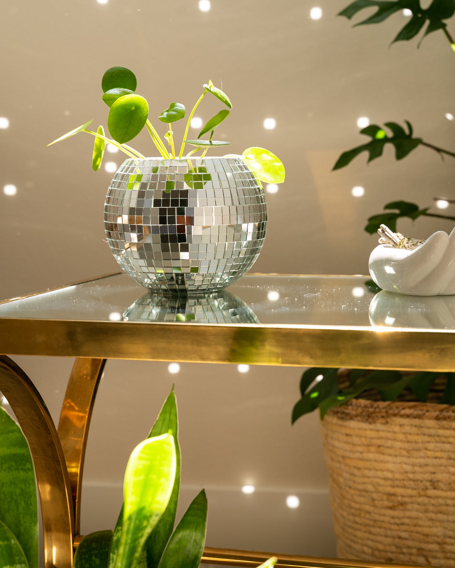 6" Disco Ball Planter - White Hanger