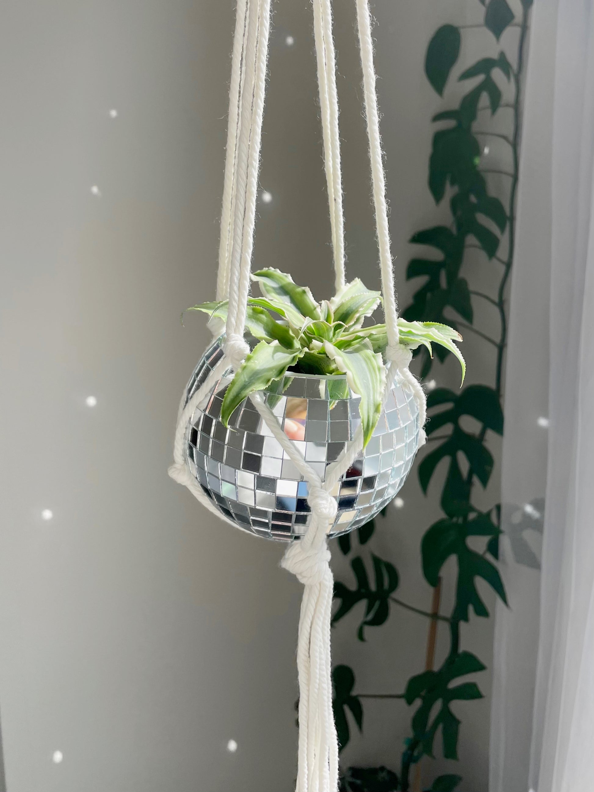 disco plant hanger 4" Mini Hanging Disco Planter