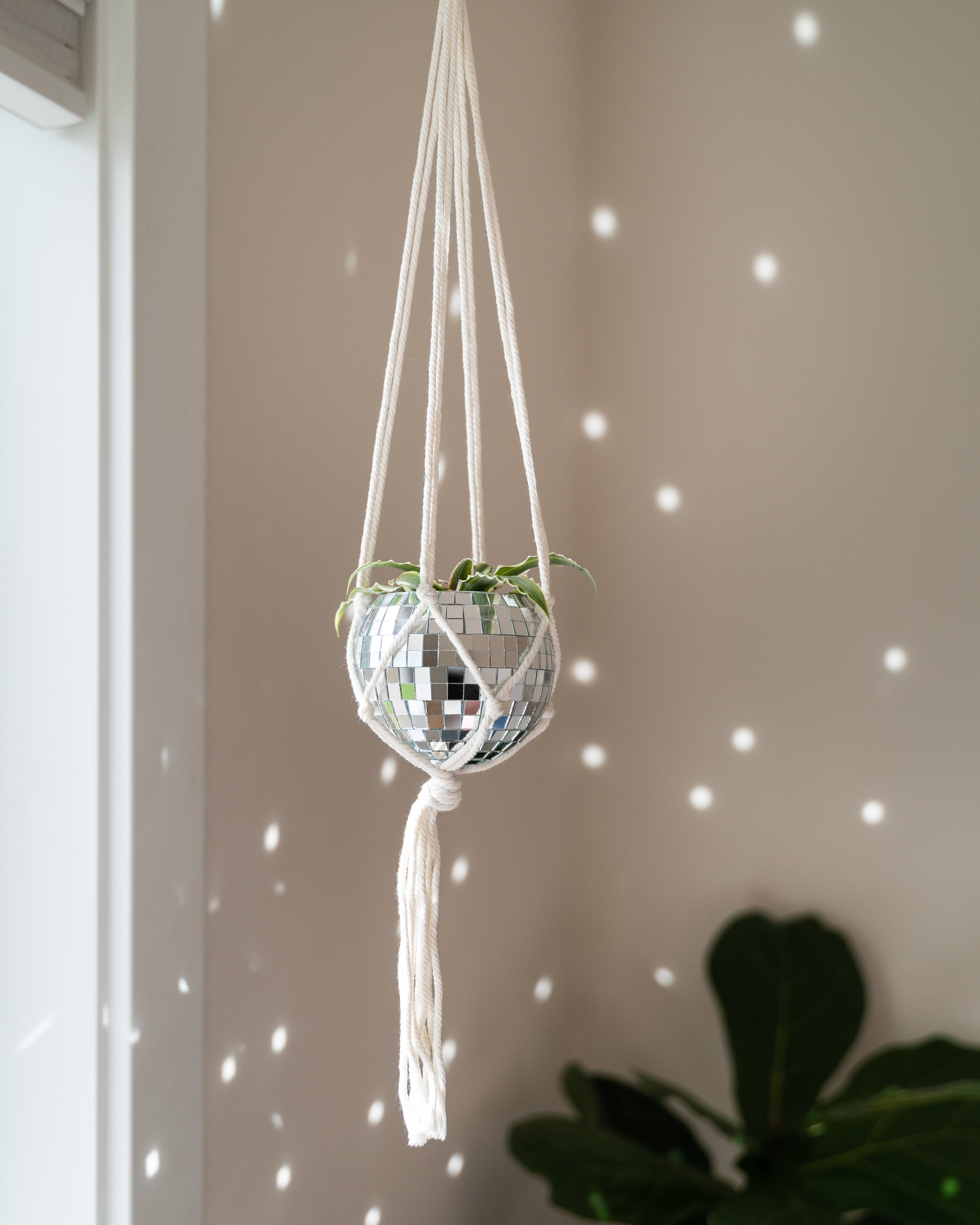 glass bowl hanging planter 4" Mini Hanging Disco Planter – Havenstone Home