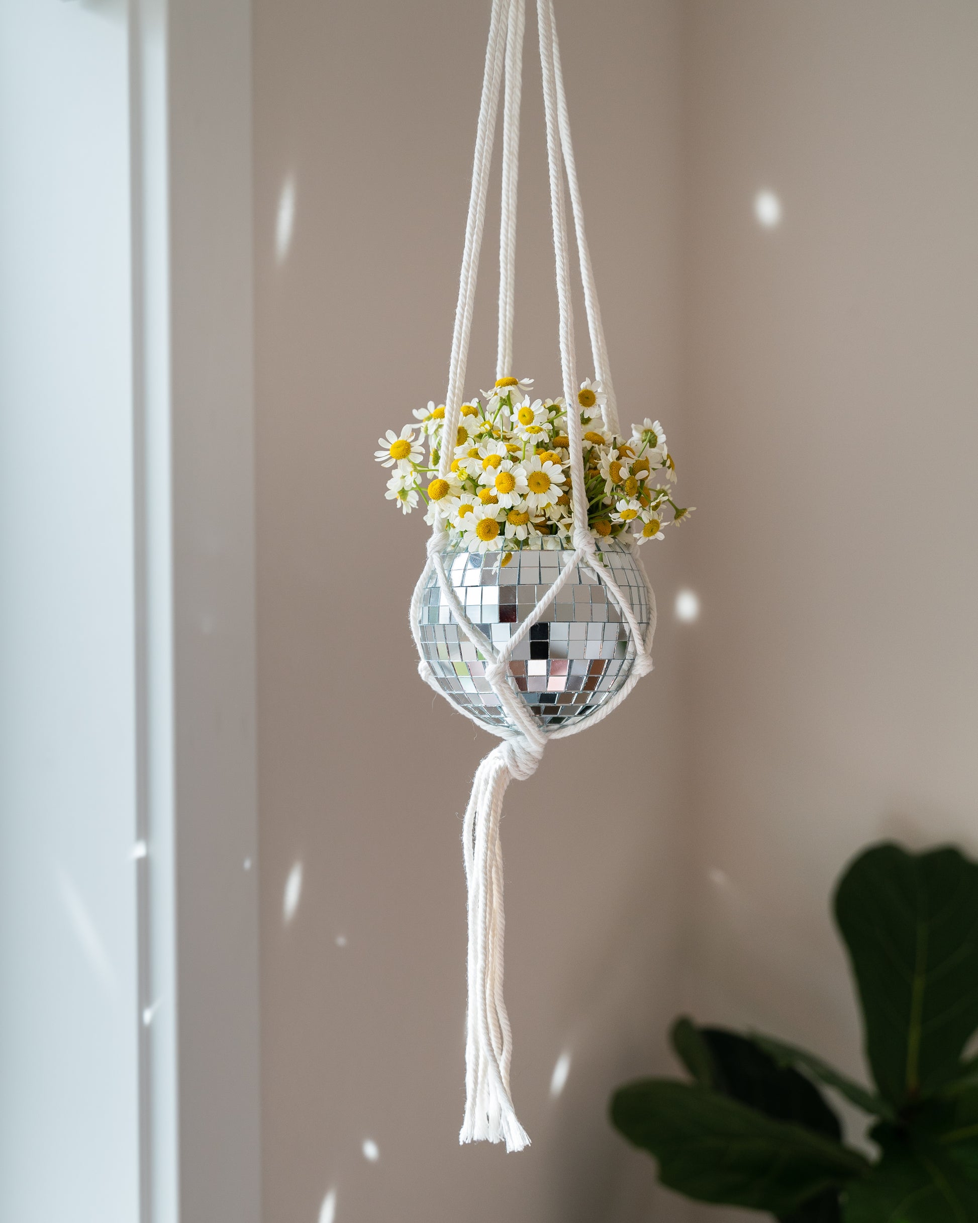 hanging disco planter 4" Mini Hanging Disco Planter